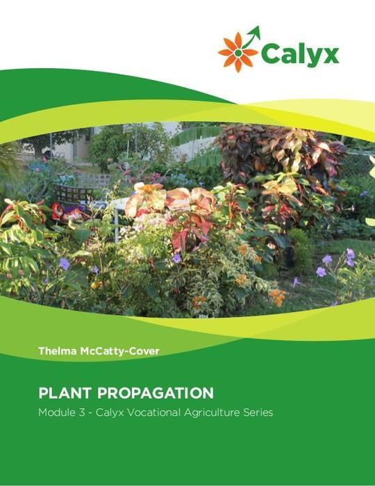 Plant Propagation