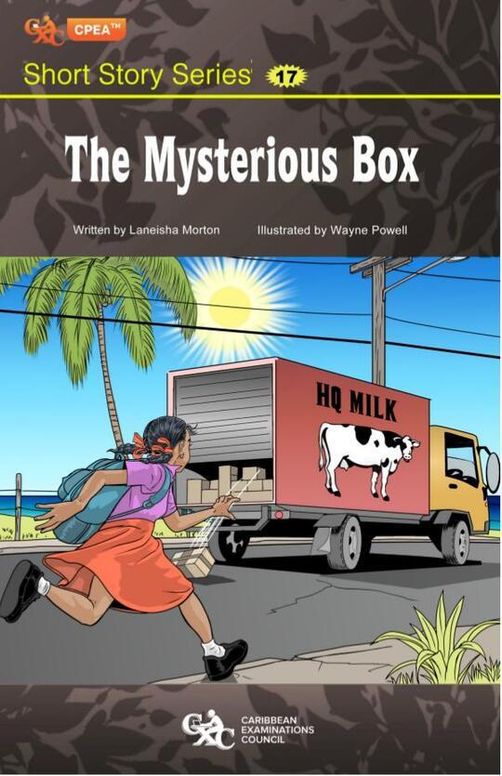The Mysterious Box