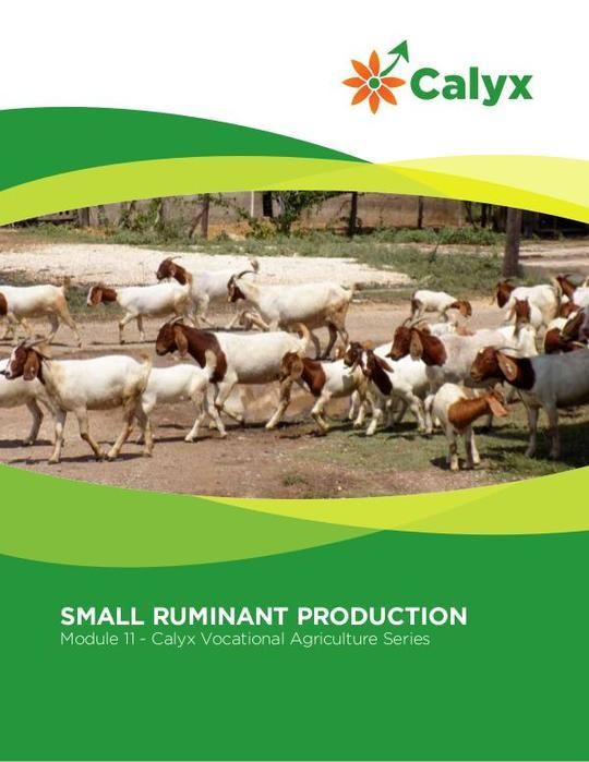 Small Ruminant Production