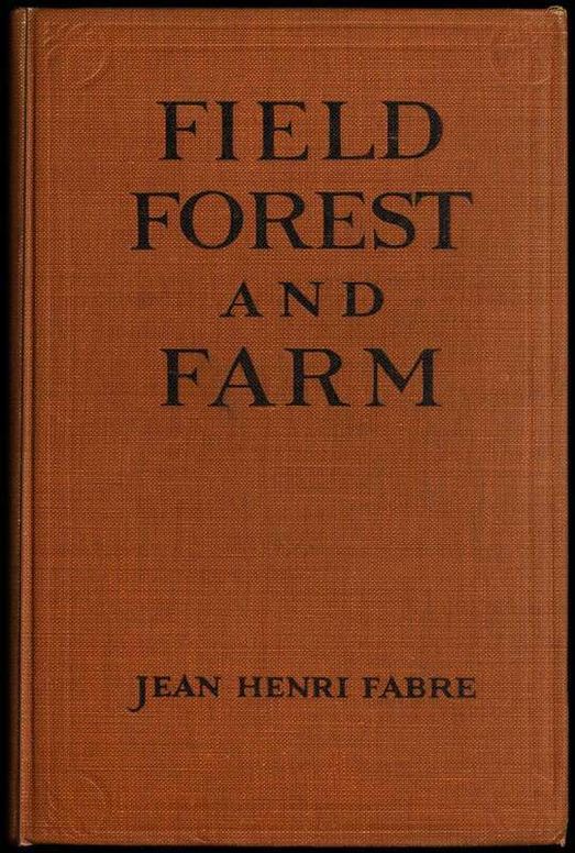 Field, Forest and Farm: Things interesting to young nature-lovers, including some matters of moment to gardeners and fruit-growers