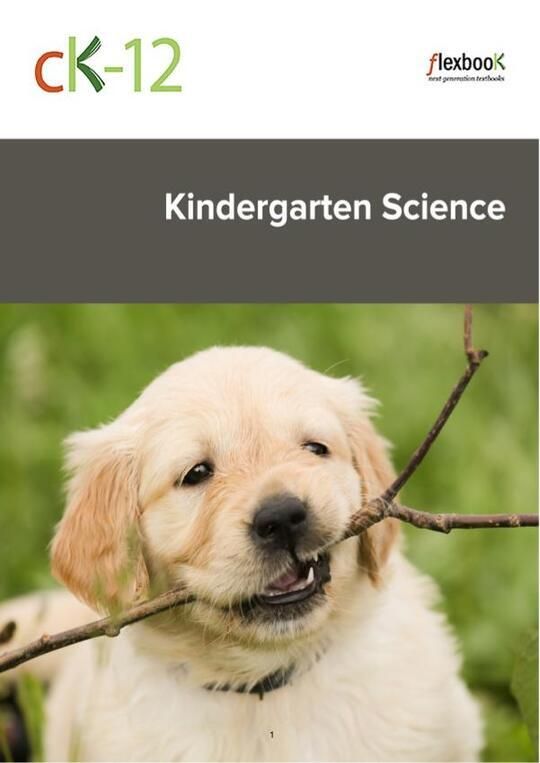CK-12-Kindergarten-Science_b_v1_8he