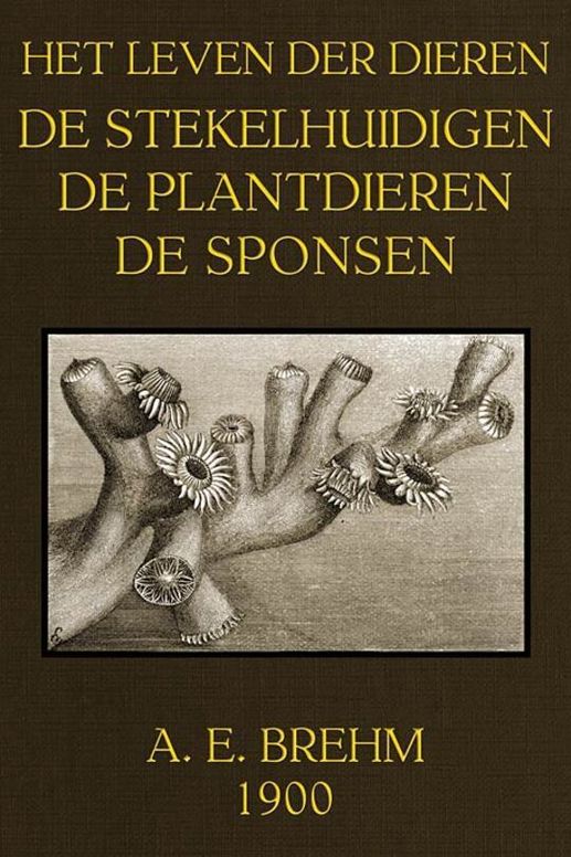 Het Leven der Dieren: Deel 3.8 De Stekelhuidigen, Plantdieren en Sponsen