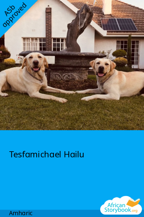 አቢ እና ላይላ