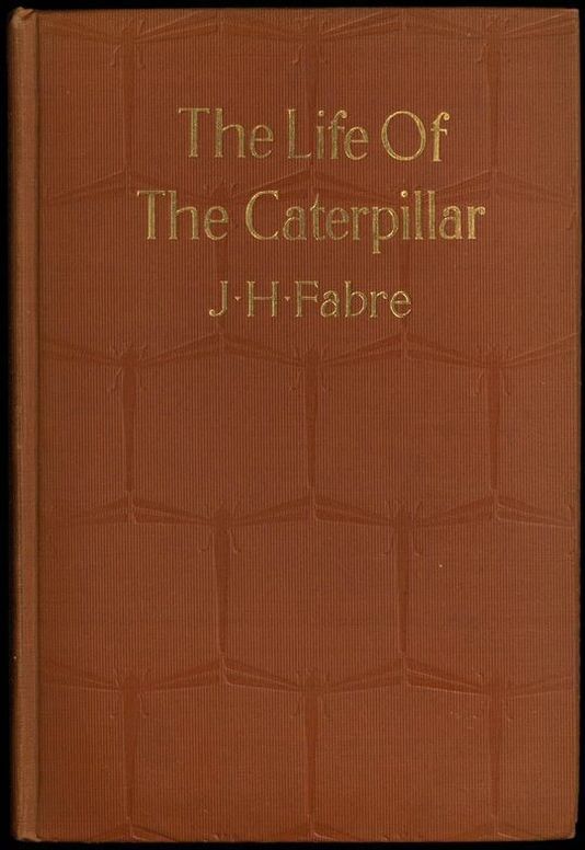 The Life of the Caterpillar