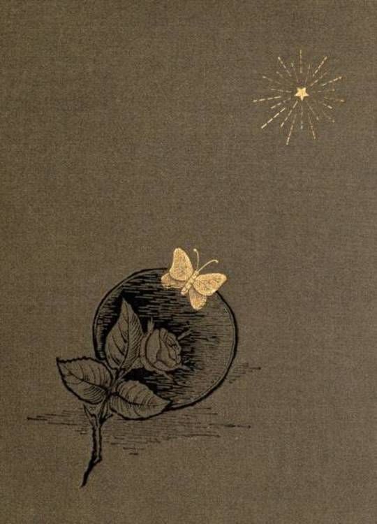 An Ambitious Woman: A Novel