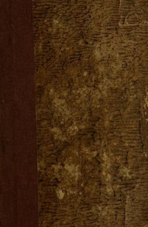 Les Tourelles, volume I Histoire des châteaux de France