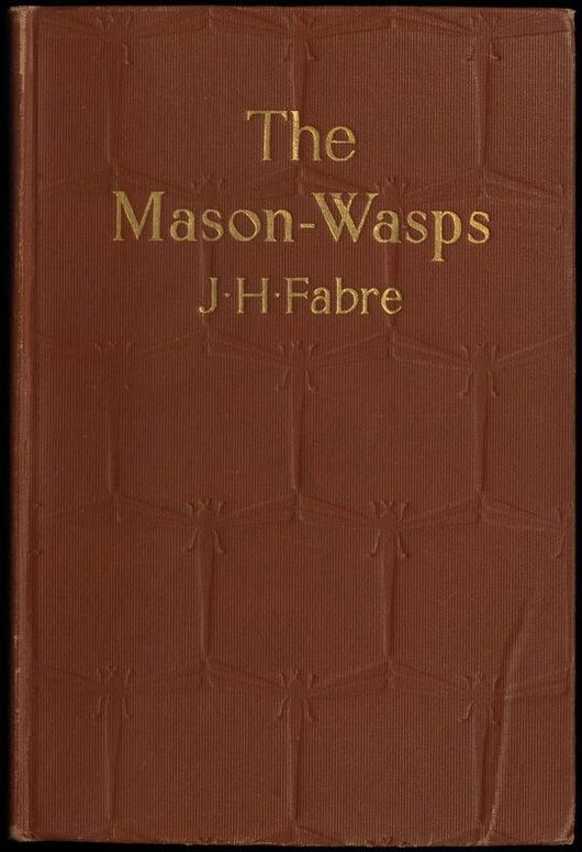 The Mason-Wasps