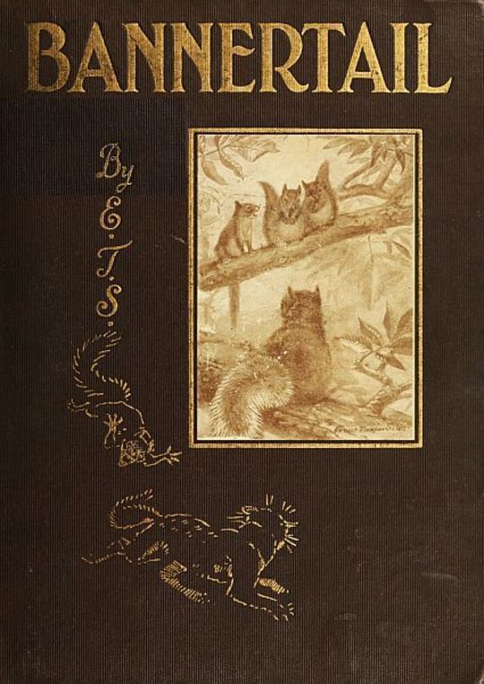 Bannertail The Story of a Graysquirrel