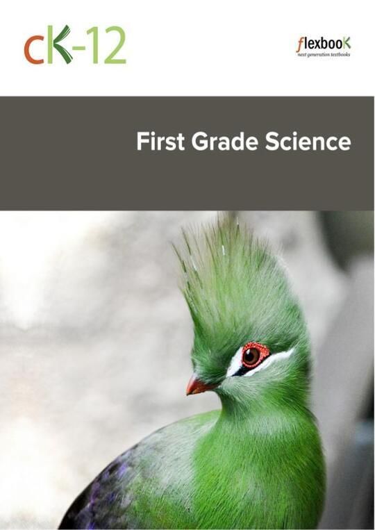 CK-12-First-Grade-Science_b_v1_ldu