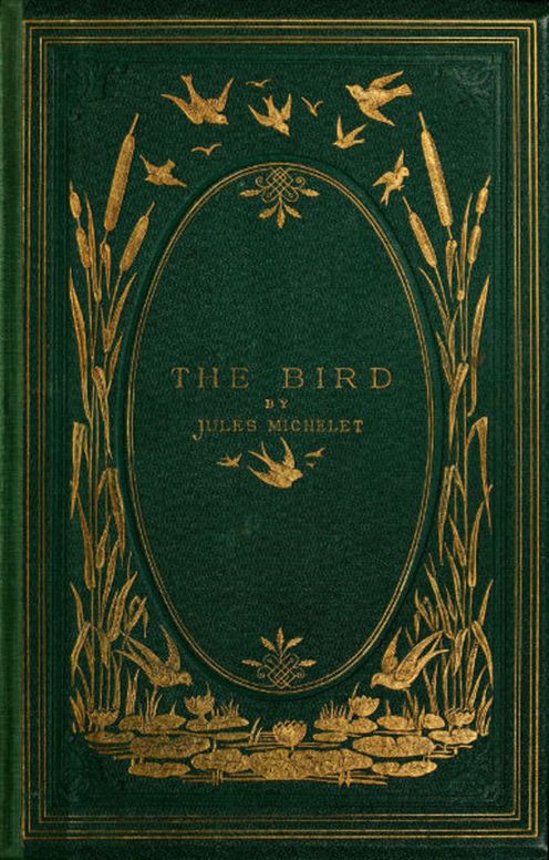 The Bird