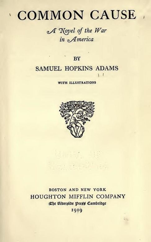 Common Cause
A Novel of the War in America