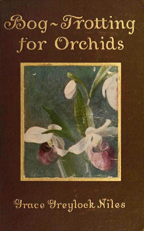Bog-trotting for orchids