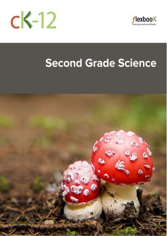 CK-12-Second-Grade-Science_b_v1_v3p