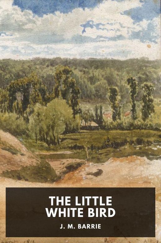 The Little White Bird