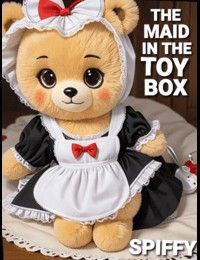 The Maid in the Toy Box