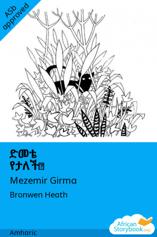 ድመቴ የታለች?