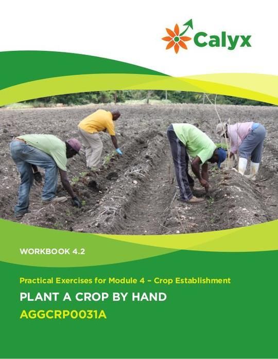 Plant a Crop By Hand
