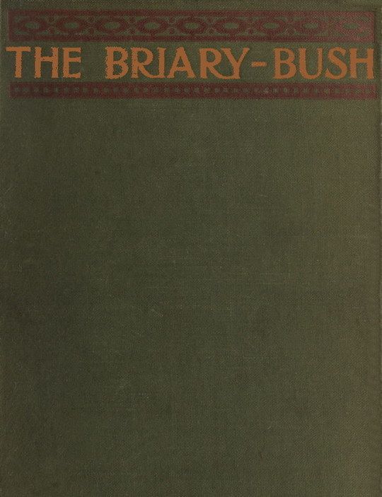 The Briary Bush
A Novel