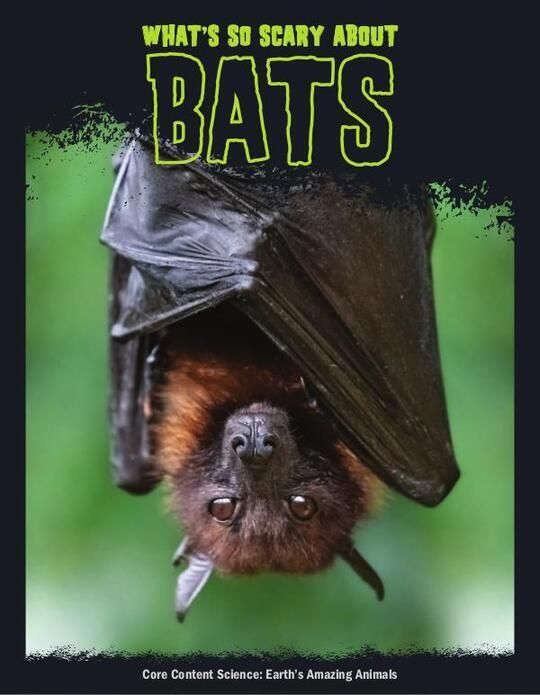 What's So Scary about Bats