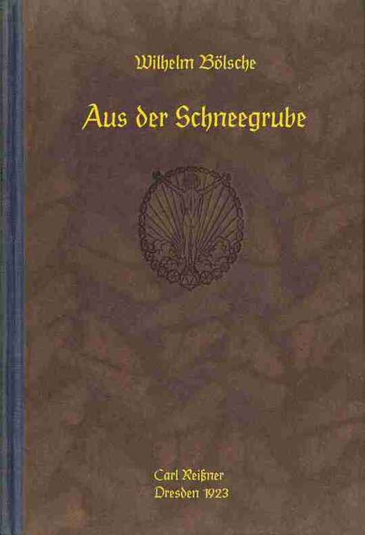 Aus der Schneegrube