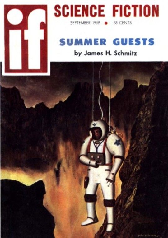 Summer Guests