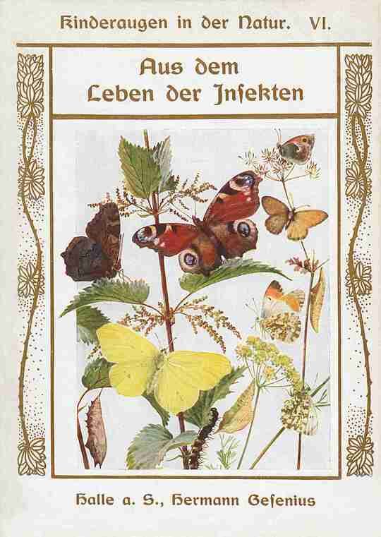 Aus dem Leben der Insekten