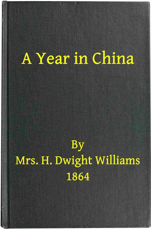 A year in China