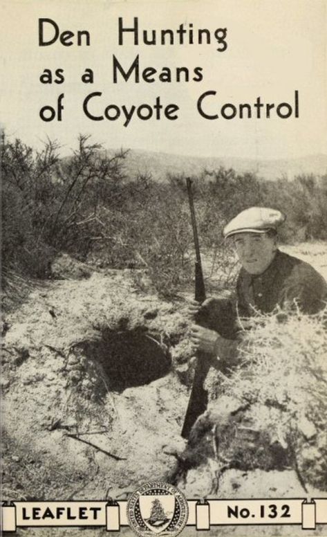 Den Hunting as a Means of Coyote Control USDA Leaflet No. 132