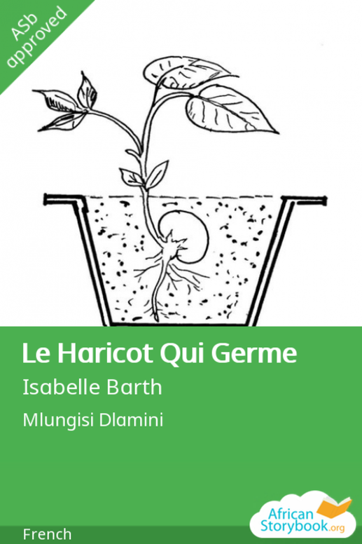 Le Haricot Qui Germe