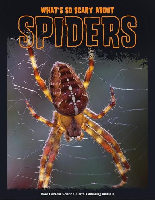 What's So Scary about Spiders