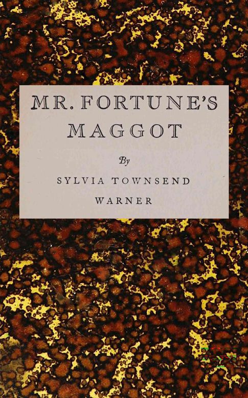 Mr. Fortune's maggot