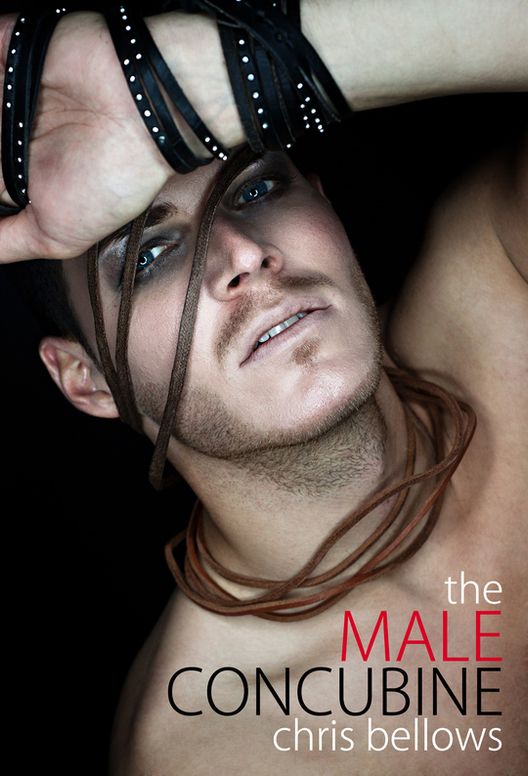 The Male Concubine