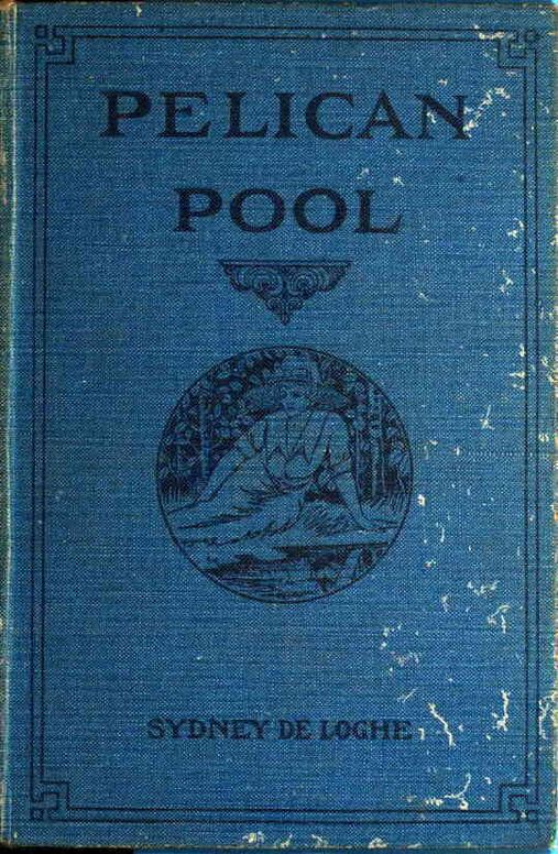Pelican Pool: A Novel
