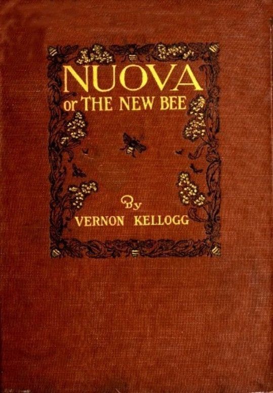 Nuova or The New Bee