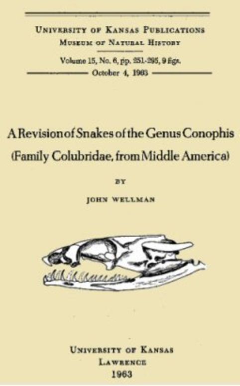 A Revision of Snakes of the Genus Conophis (Family Colubridae, from Middle America)