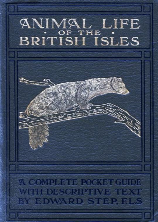 Animal Life of the British Isles A Pocket Guide to the Mammals, Reptiles and Batrachians of Wayside and Woodland
