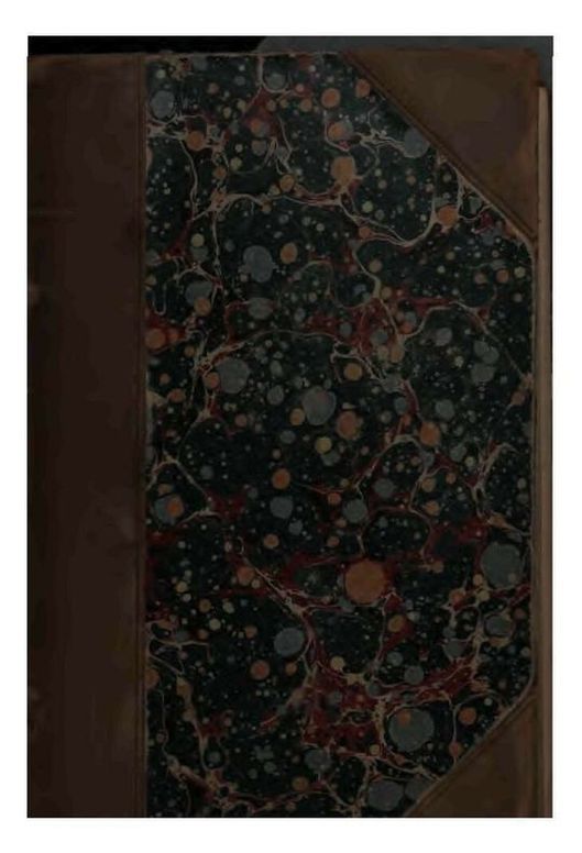 Life And Adventures Of Peter Wilkins, Vol. I. (of II.)