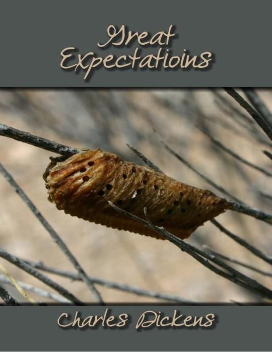 Great Expectations