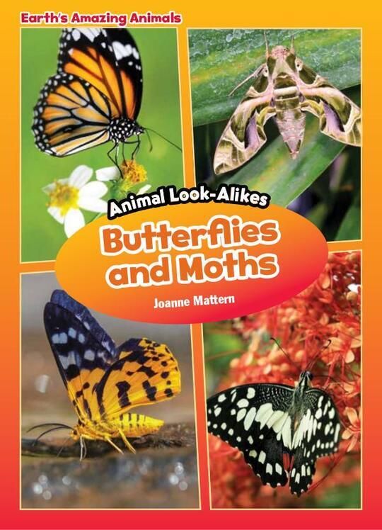 Butterflies and Moths