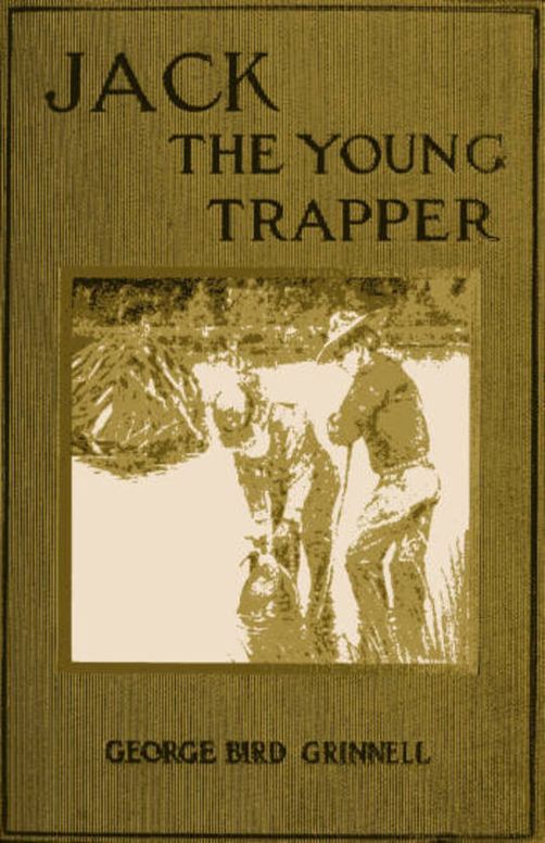 Jack the Young Trapper An Eastern Boy's Fur Hunting in the Rocky Mountains